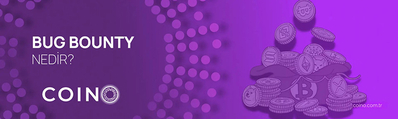 Bug Bounty Nedir?