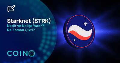 Starknet (STRK) Nedir ve Ne İşe Yarar? Ne Zaman Çıktı?