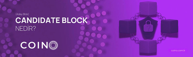 Candidate Block (Aday Blok) Nedir?