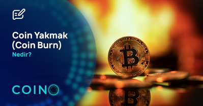 Coin Yakmak (Coin Burn) Nedir?