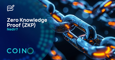 Zero Knowledge Proof (ZKP) Nedir?