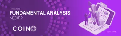 Fundamental Analysis (Temel Analiz) Nedir?