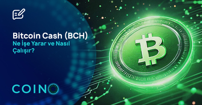 Bitcoin Cash (BCH) Ne İşe Yarar ve Nasıl Çalışır?