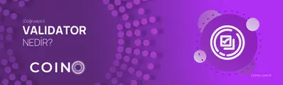 Validator (Doğrulayacı) Nedir?
