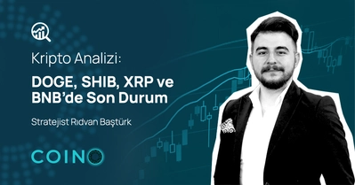 DOGE, SHIB, XRP ve BNB’de Son Durum Ne?