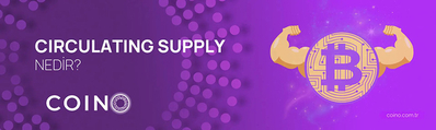 Circulating Supply Nedir?