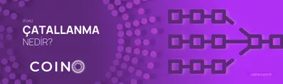 Çatallanma (Fork) Nedir?