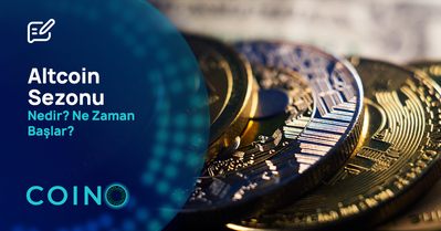 Altcoin Sezonu Nedir? Ne Zaman Başlar?