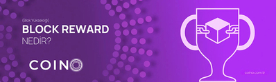 Block Reward (Blok Ödülü) Nedir?