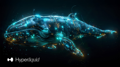 150 Milyon Dolar Kâr Eden Hyperliquid Balinası, 160 Milyon Dolarlık Yeni Short Pozisyonu Açtı