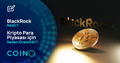 BlackRock Nedir? Kripto Para Piyasası için Neden Önemlidir?