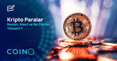 Kripto Paralar Neden, Nasıl ve Ne Zaman Yükselir?