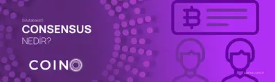 Consensus (Mutabakat) Nedir?