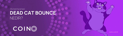 Dead Cat Bounce (Ölü Kedi Sıçraması) Nedir?