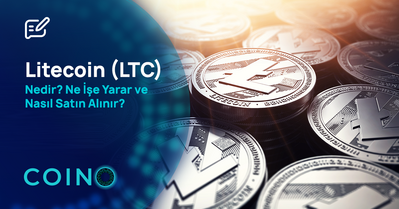 Litecoin (LTC) Nedir, Ne İşe Yarar ve Nasıl Alınır?