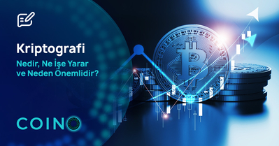 Kriptografi Nedir, Ne İşe Yarar ve Neden Önemlidir?