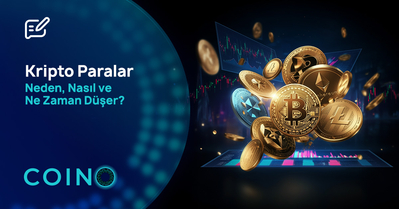 Kripto Paralar Neden, Nasıl ve Ne Zaman Düşer?