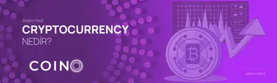 Cryptocurrency (Kripto Para) Nedir?