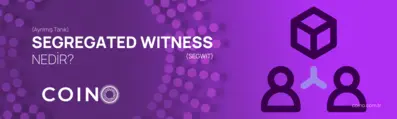 SEGWIT - Segregated Witness (Ayrılmış Tanık) Nedir?