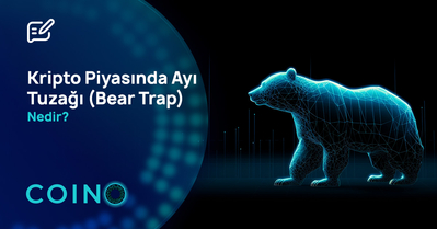 Kripto Piyasında Ayı Tuzağı (Bear Trap) Nedir?