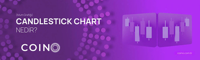 Candlestick Chart (Mum Grafiği) Nedir?