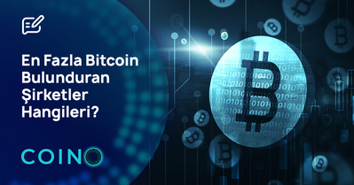 En Fazla Bitcoin Bulunduran Şirketler Hangileri?