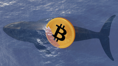 13 Yıldır Hareketsiz Kalan ve 50 Milyon Dolardan Fazla BTC’si Olan Bitcoin Balinası İlk Kez Harekete Geçti